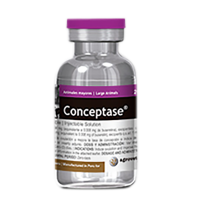 conceptase copy