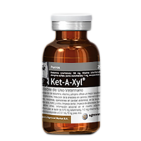 ket-a-xyl copy